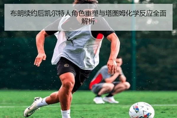 布朗续约后凯尔特人角色重塑与塔图姆化学反应全面解析