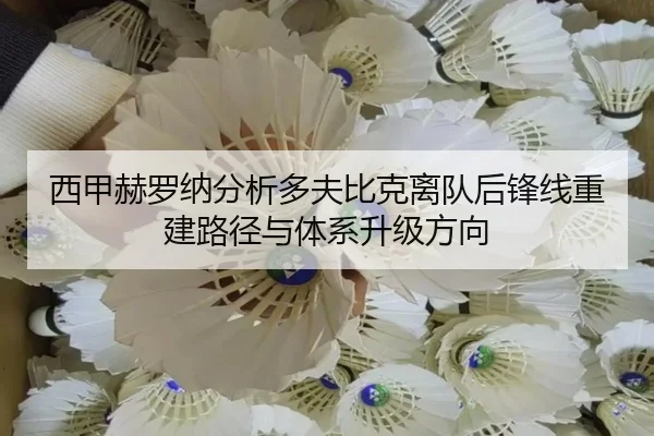 西甲赫罗纳分析多夫比克离队后锋线重建路径与体系升级方向