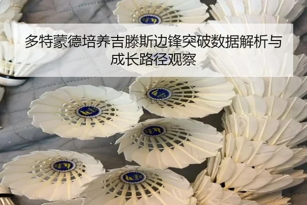 多特蒙德培养吉滕斯边锋突破数据解析与成长路径观察