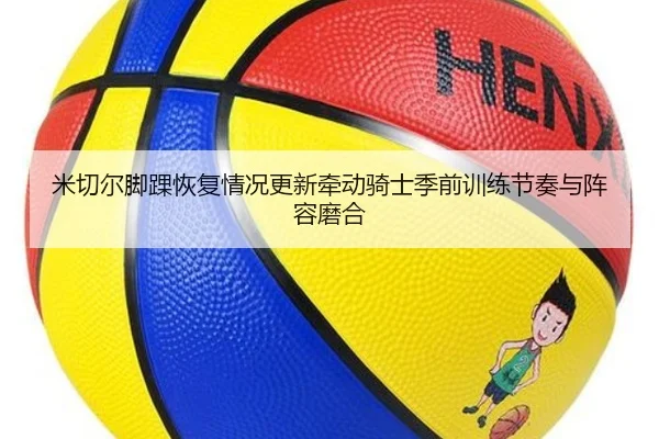 img_1784036299563_397_1_702.jpg